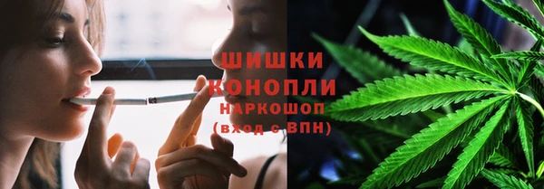 стаф Козловка