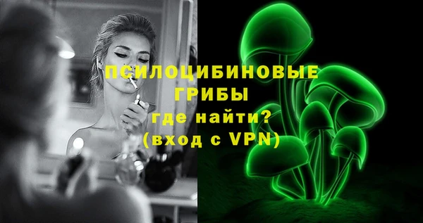 стаф Козловка