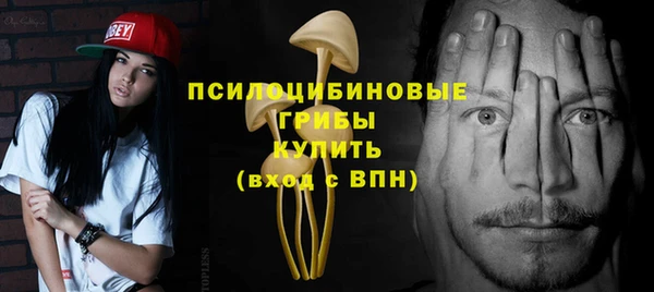 стаф Козловка