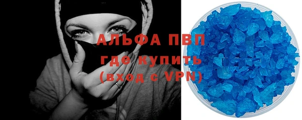 стаф Козловка