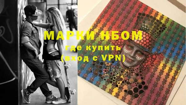 стаф Козловка