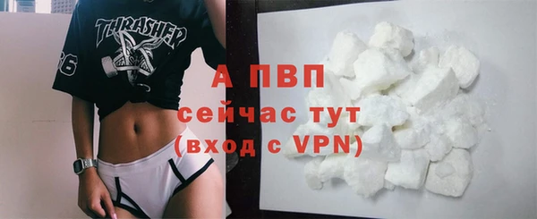 стаф Козловка