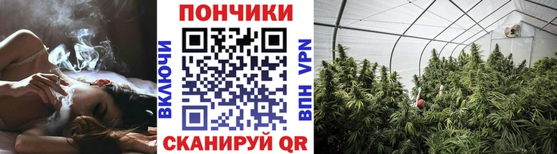 Купить закладки  Зуевка  Канабис LSD WEED 